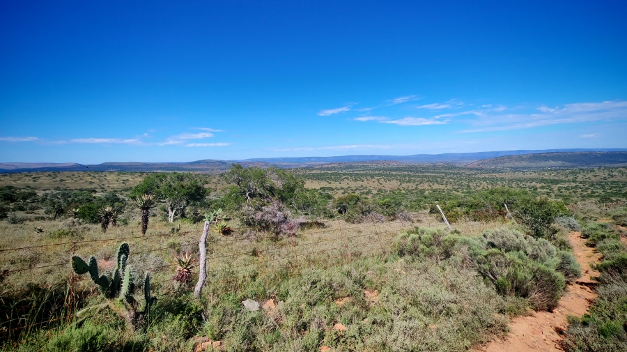 0 Bedroom Property for Sale in Somerset East Rural Eastern Cape